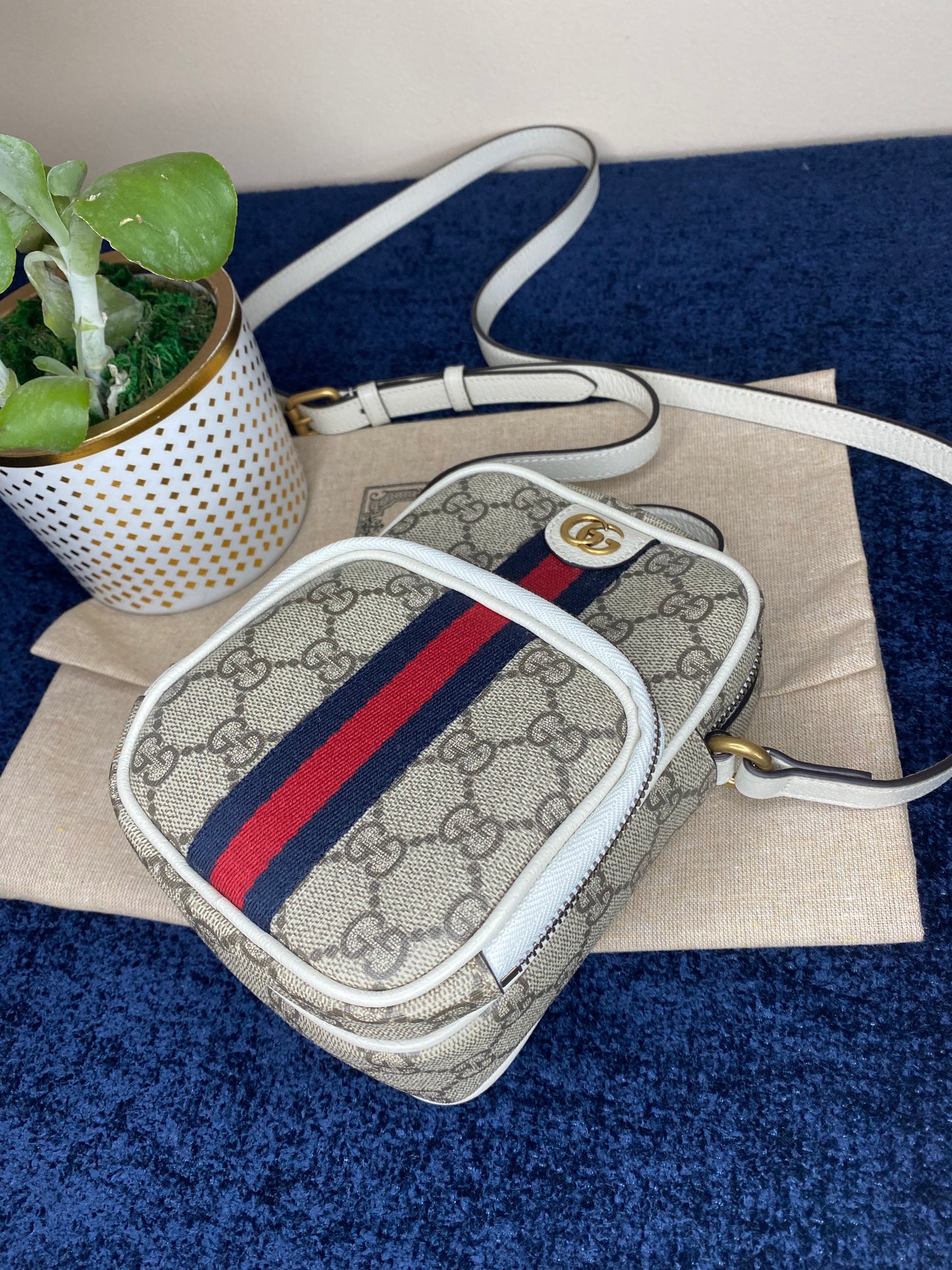 Gucci Ophidia Mini