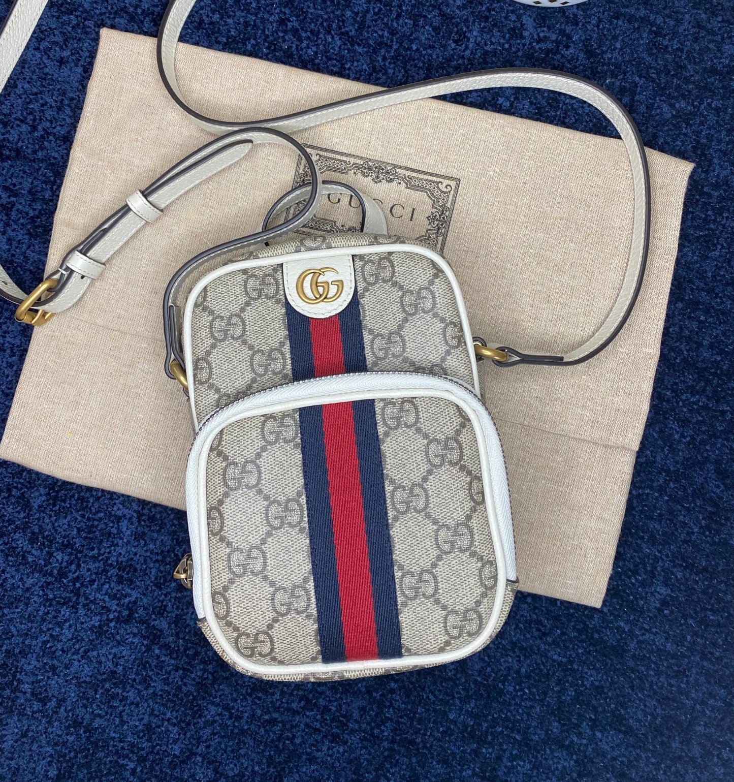 Gucci Ophidia Mini