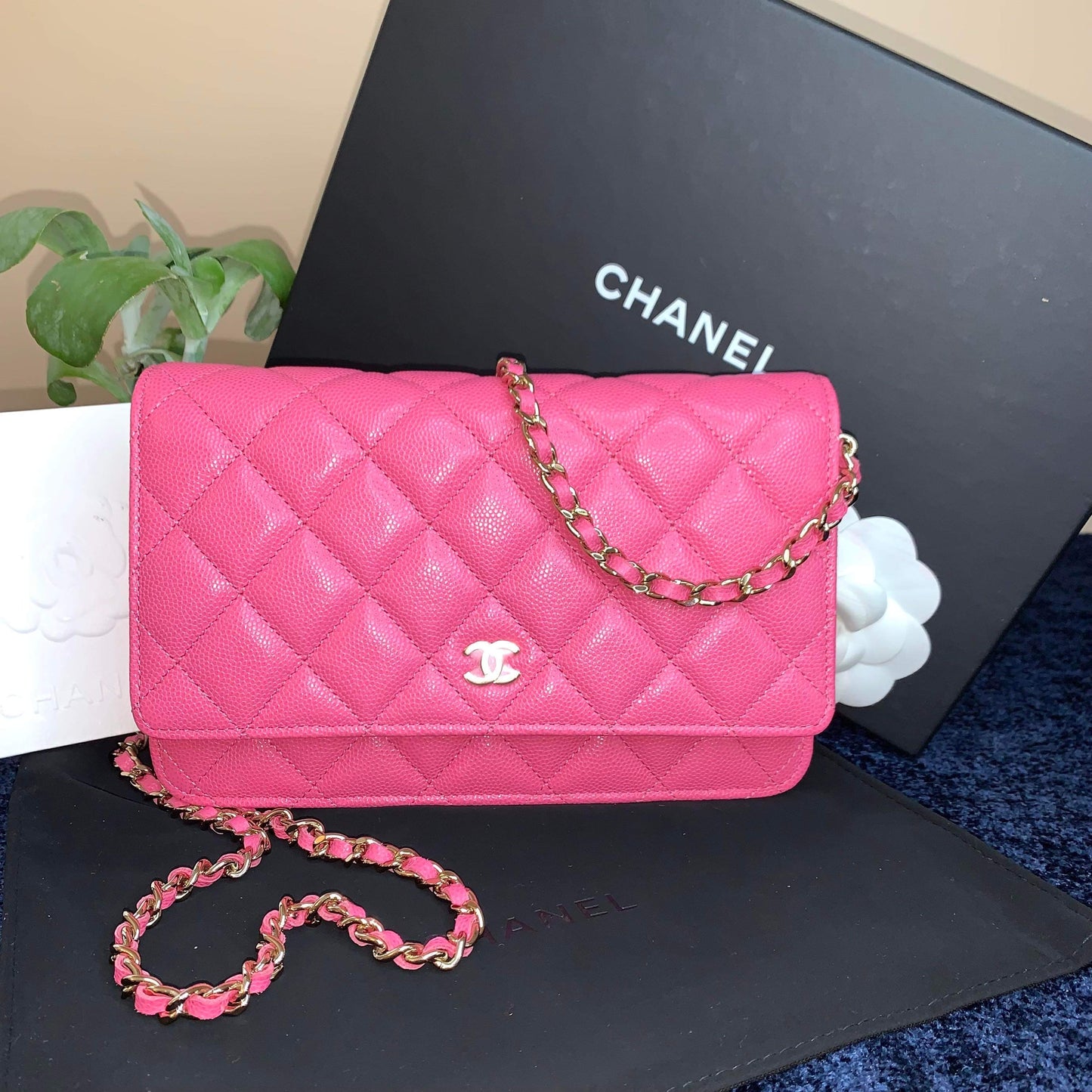 Chanel Caviar WOC. Pink with Gold Hardware