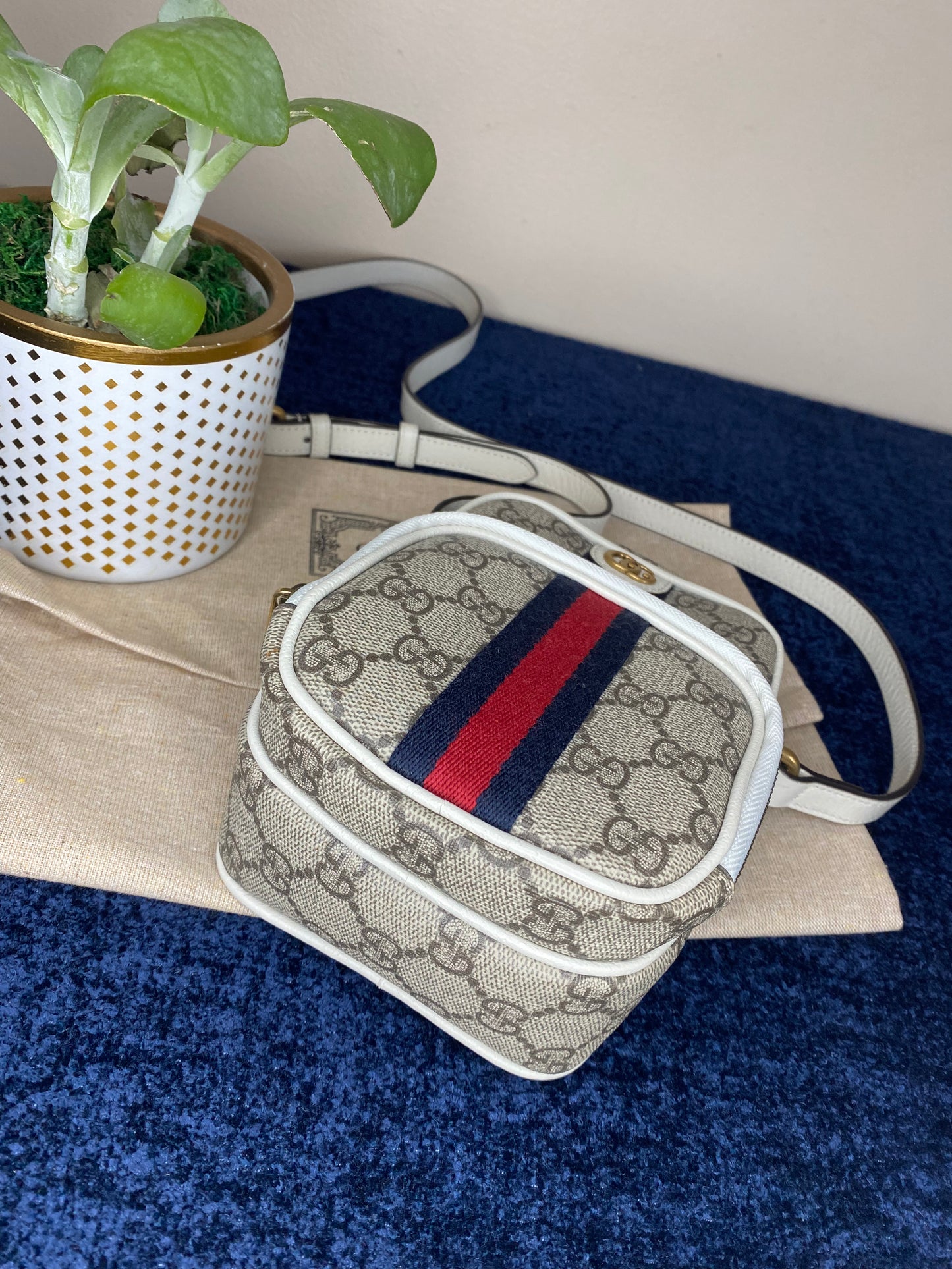 Gucci Ophidia Mini