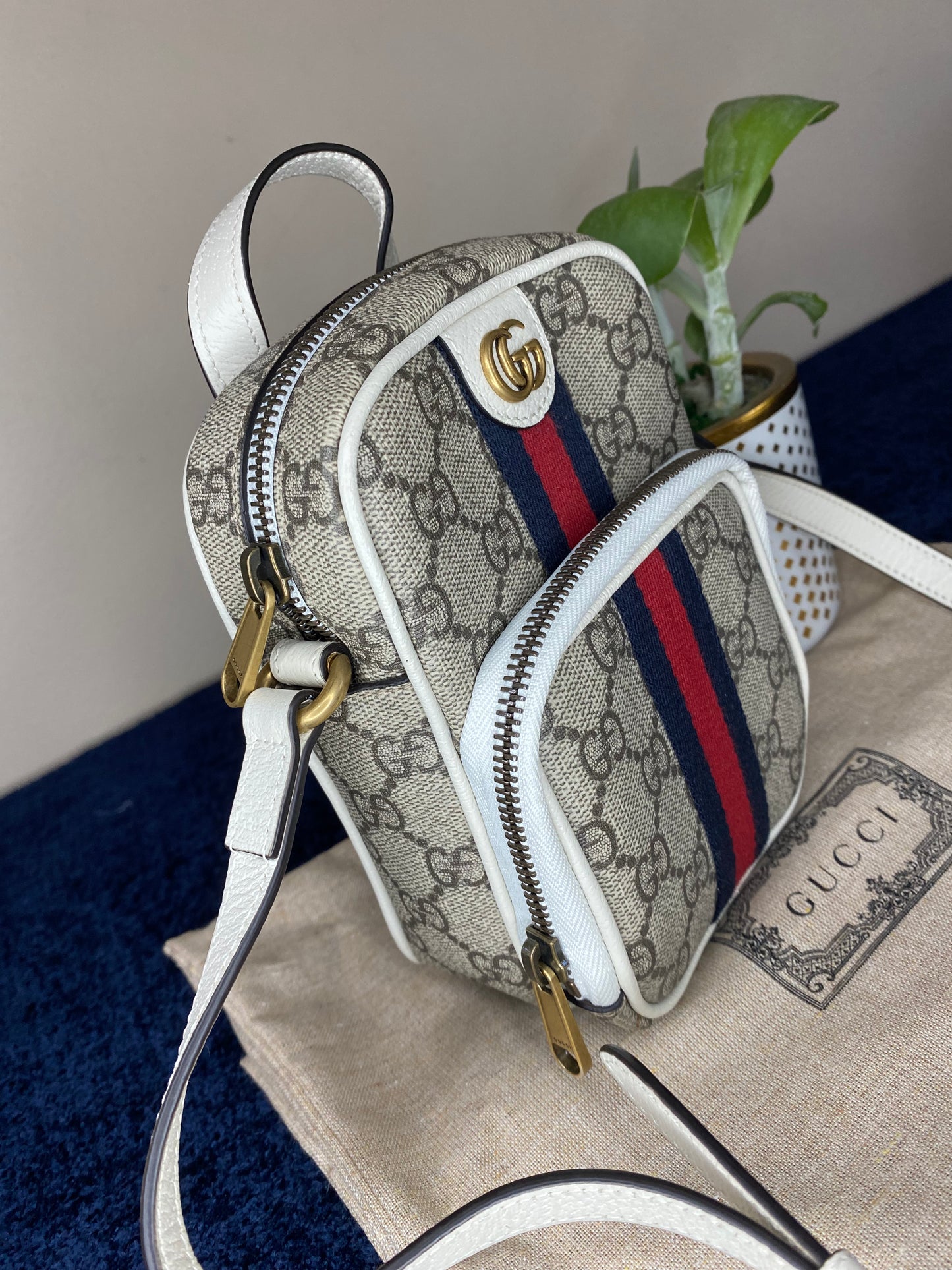 Gucci Ophidia Mini