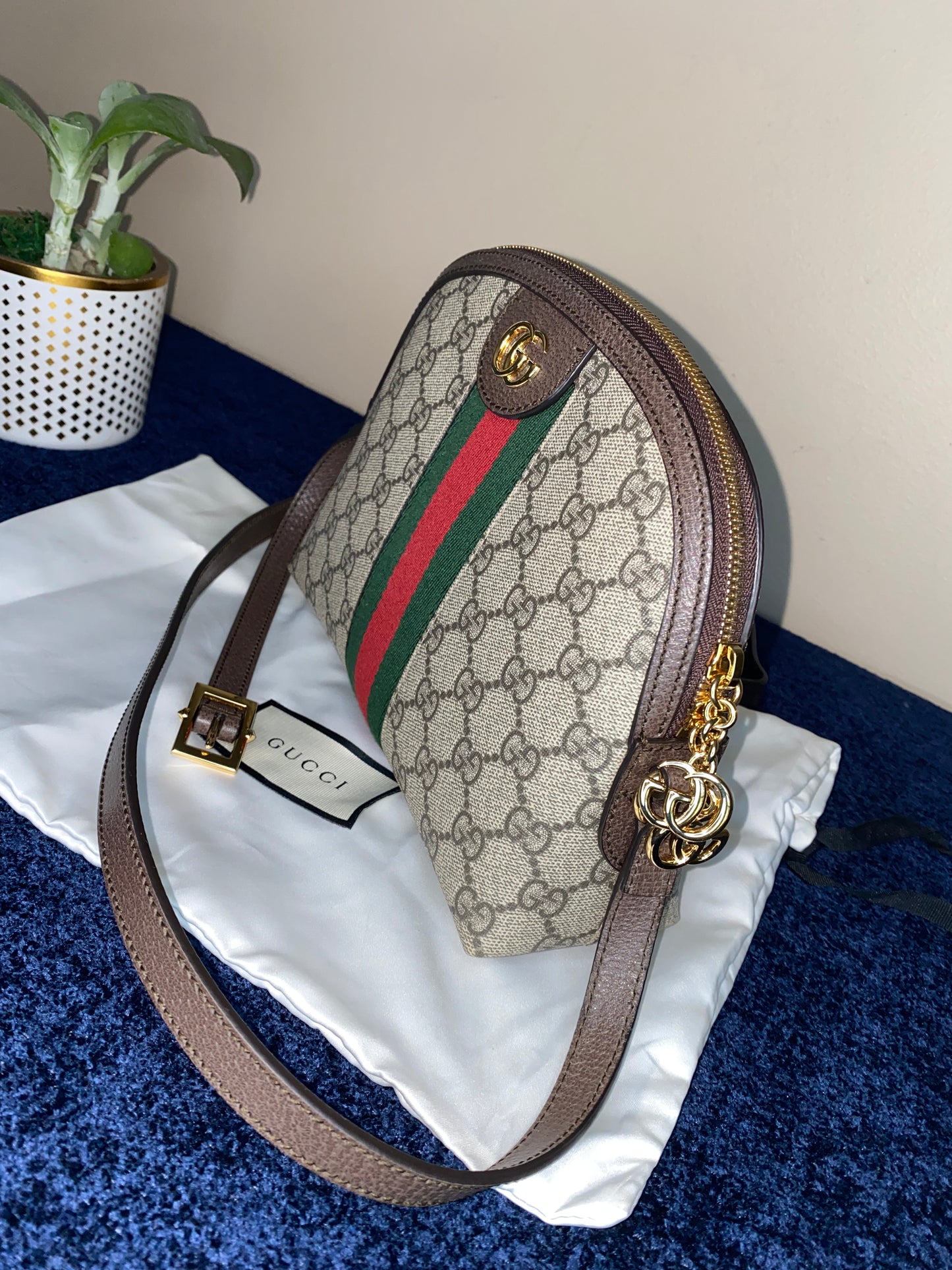 Gucci Ophidia Shoulder Bag