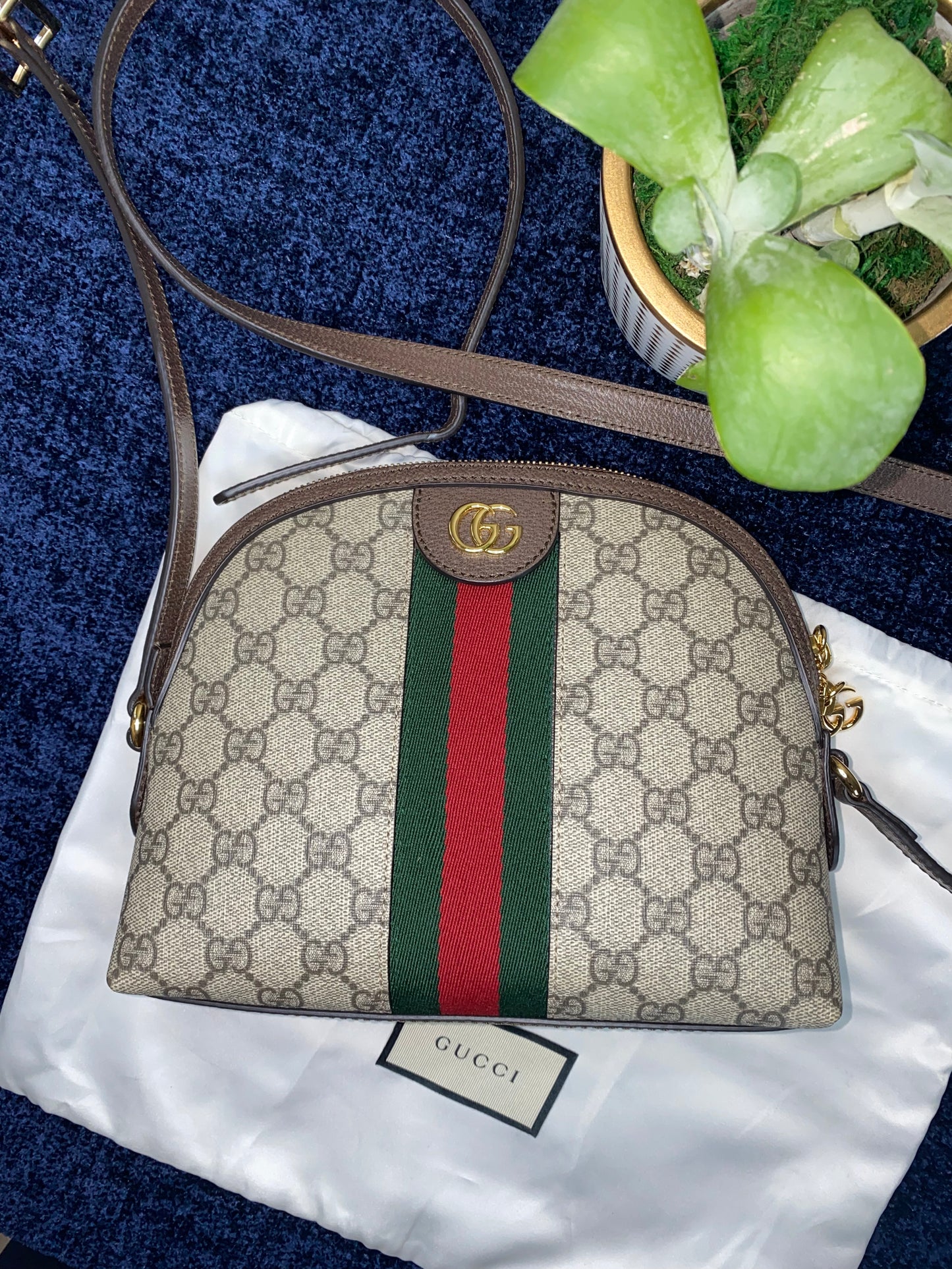 Gucci Ophidia Shoulder Bag