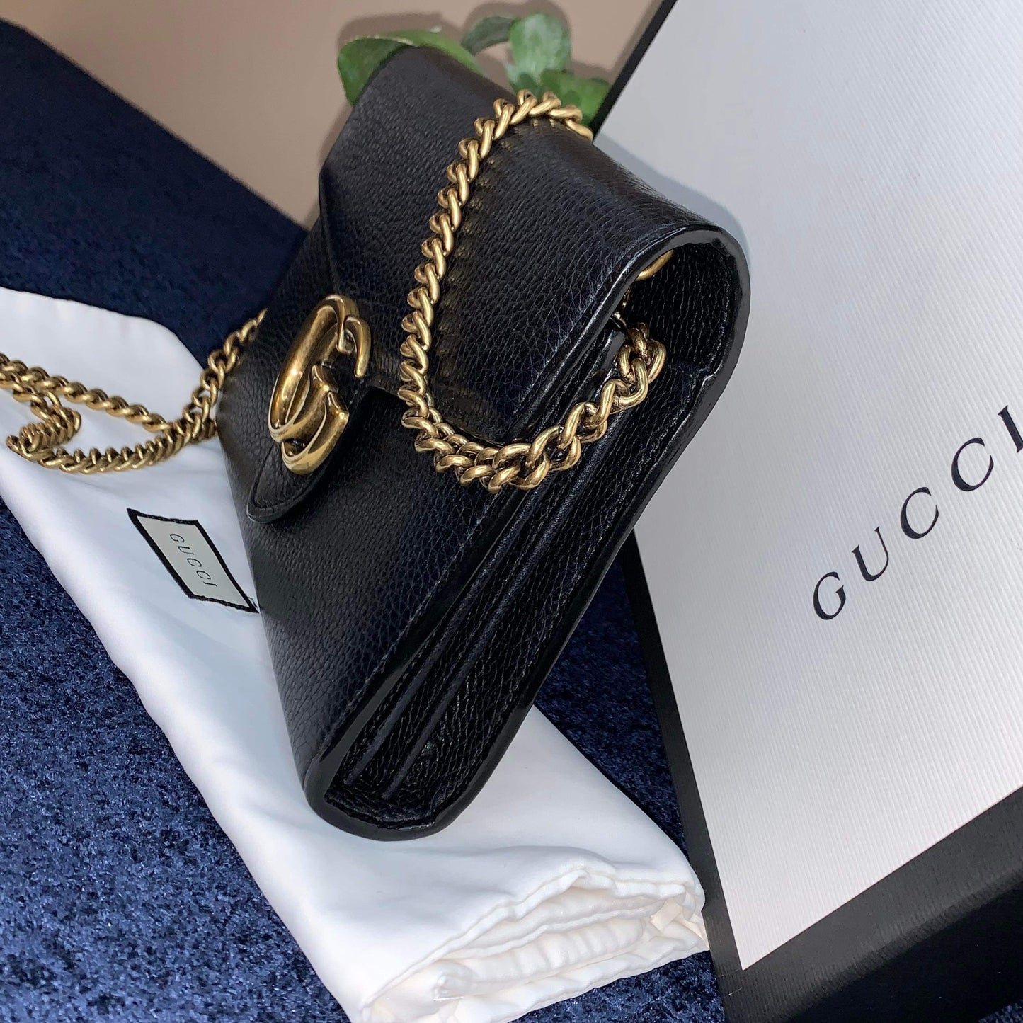 Gucci WOC