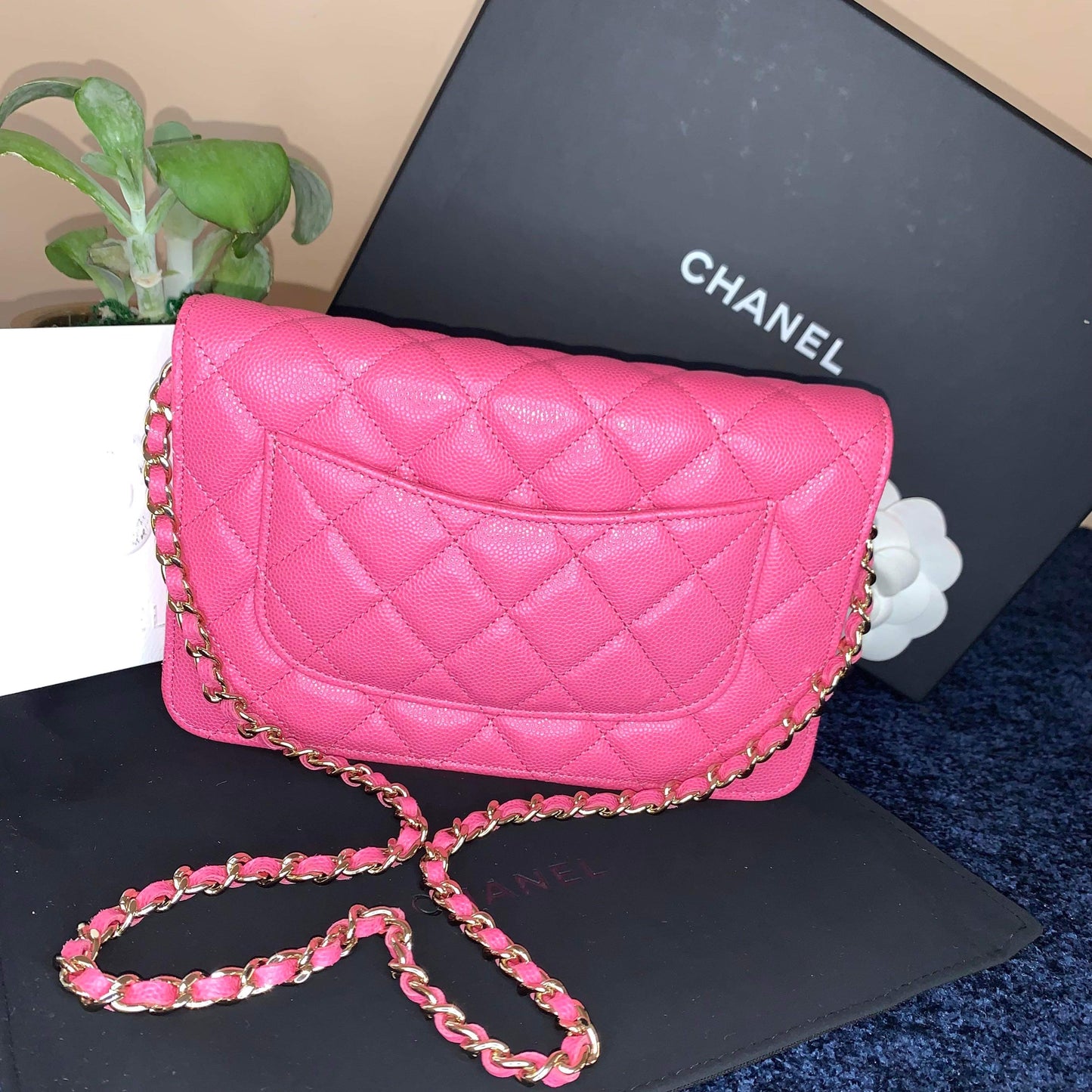 Chanel Caviar WOC. Pink with Gold Hardware