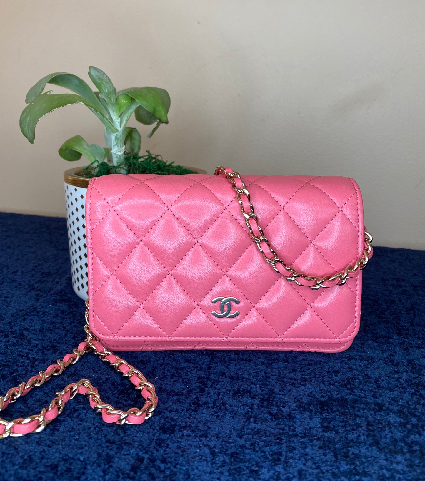 Chanel WOC Mini