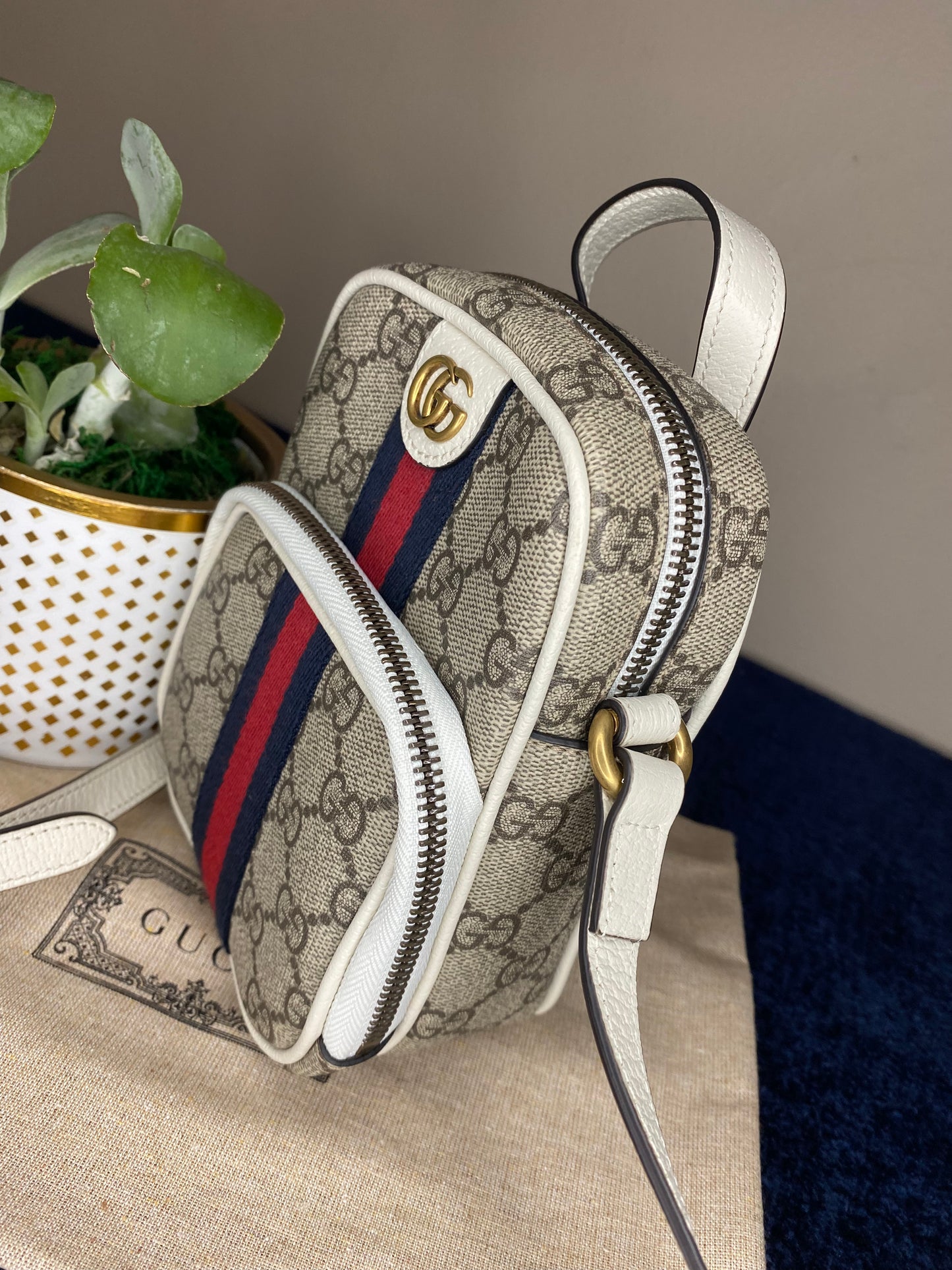 Gucci Ophidia Mini