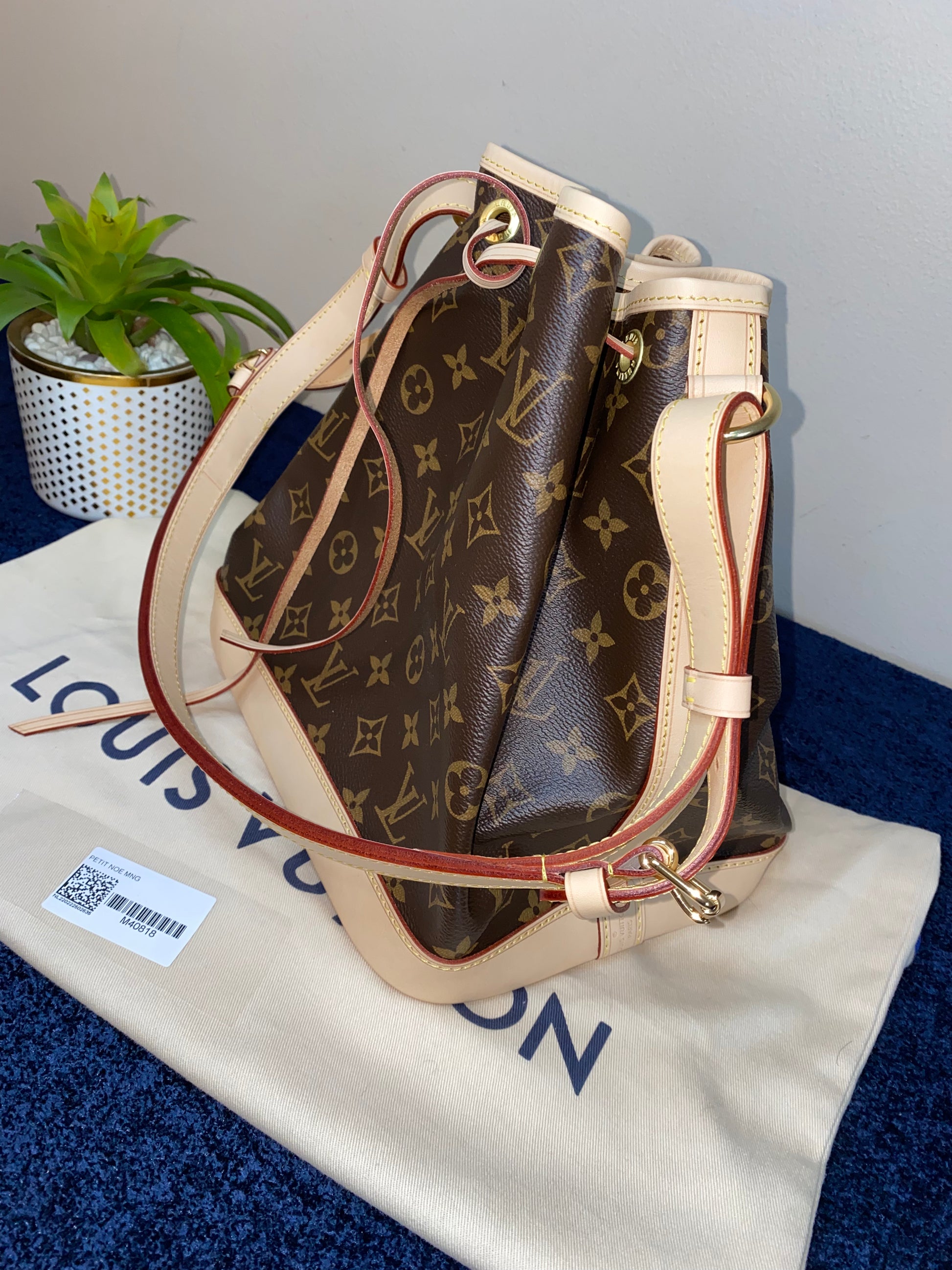 Comparison between the Louis Vuitton Petit Noe and Delightful pm